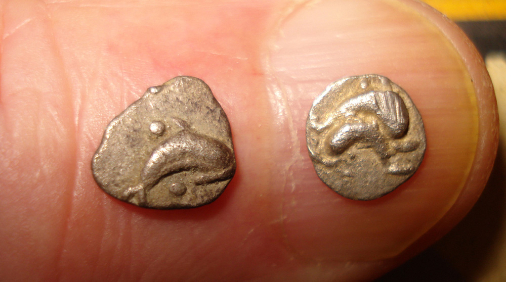 My-First-Animal-On-A-Coin.