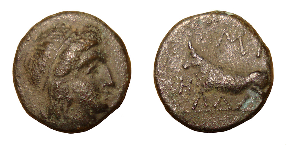 My-First-Animal-On-A-Coin.