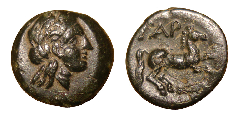 My-First-Animal-On-A-Coin.