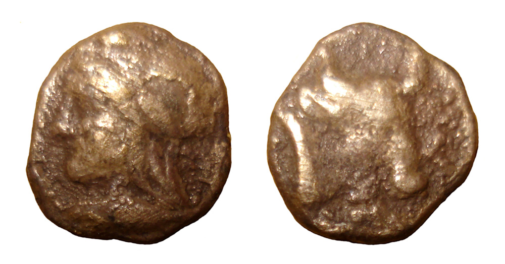 My-First-Animal-On-A-Coin.