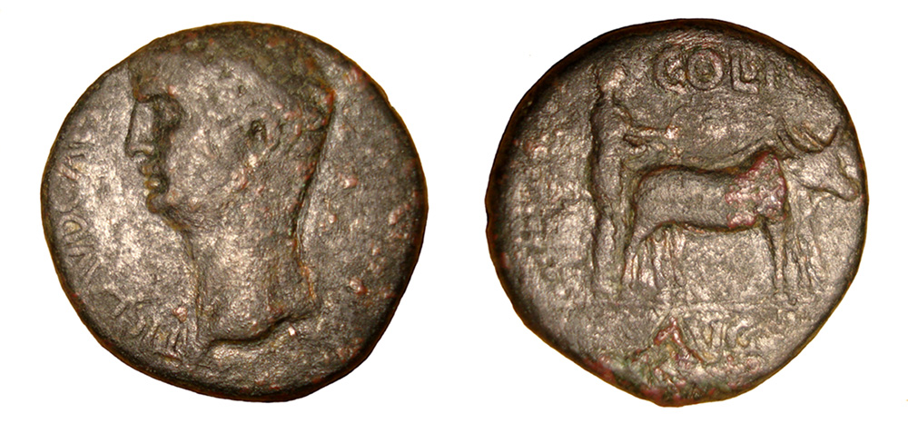 My-First-Animal-On-A-Coin.