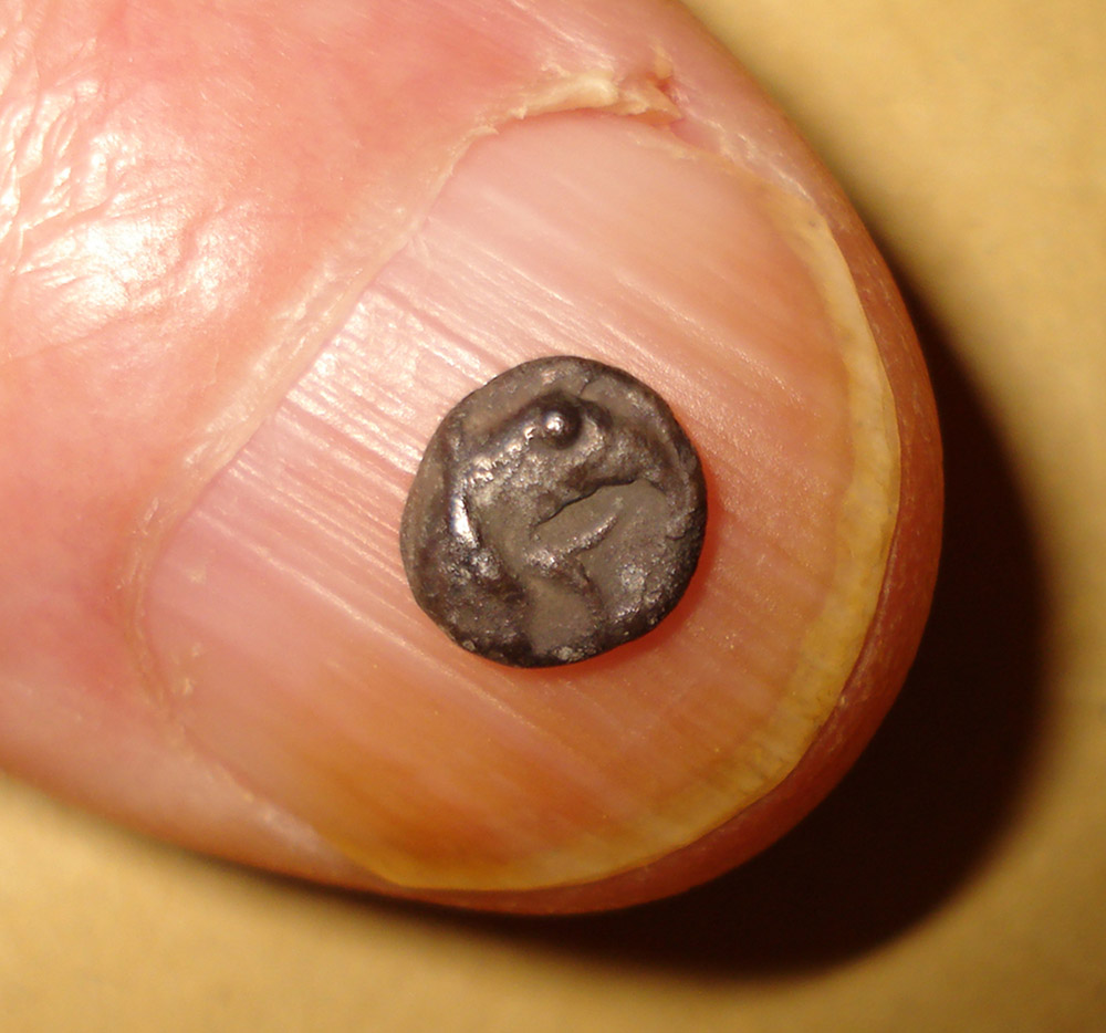 My-First-Animal-On-A-Coin.