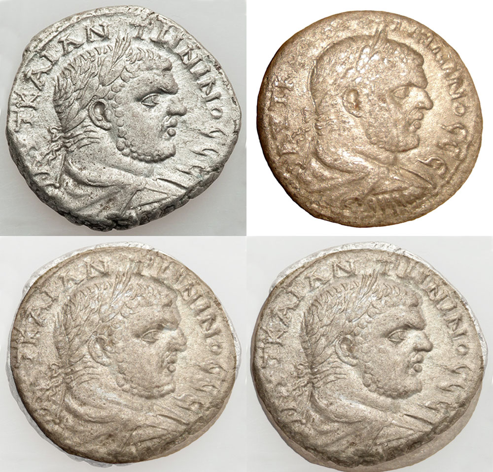My-First-Animal-On-A-Coin.