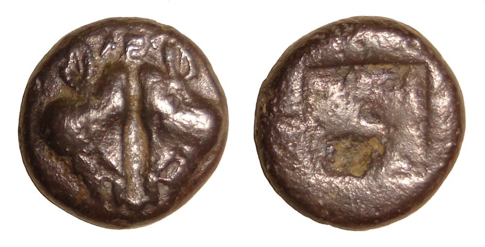 My-First-Animal-On-A-Coin.