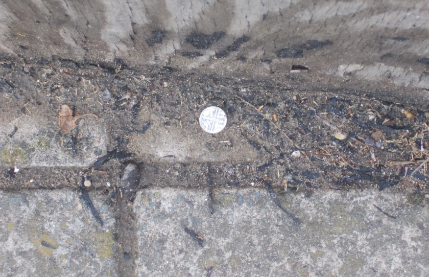 Post-Your-Stories-&-Pix-Of-Found-Money