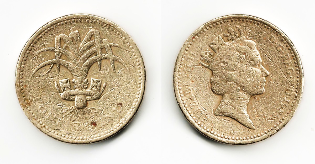 Coinstar-Finds!-Including-Bank-Counters-And-Other-Machines
