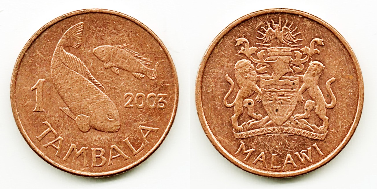 Around-The-World-With-Coins---A-Coin-Geography-Game