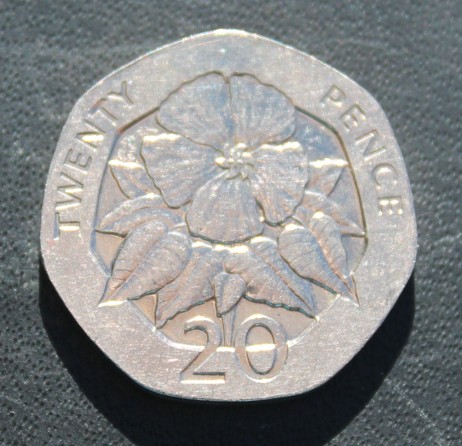 Around-The-World-With-Coins---A-Coin-Geography-Game