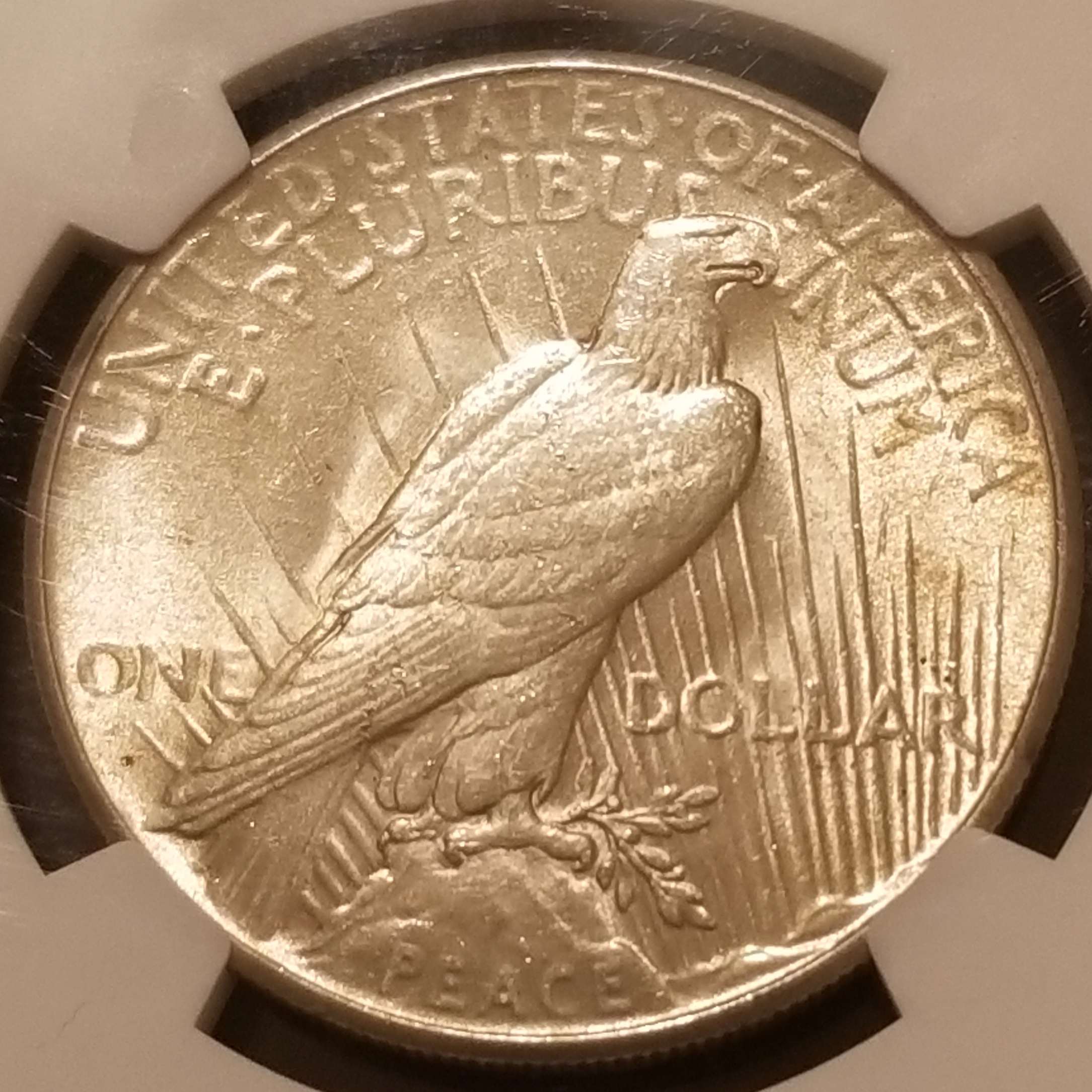 You-Vs-NGC-1925-Peace-Dollar