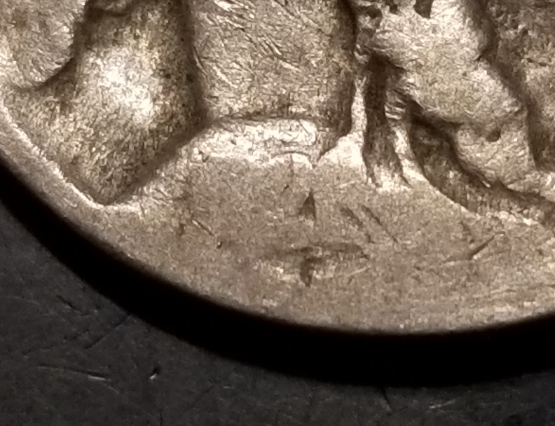 What-Date-Is-This-Buffalo?