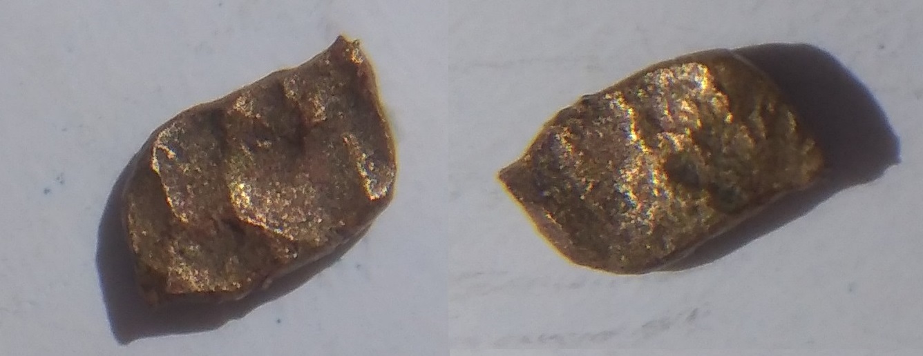 Possible-Identification-Fanam