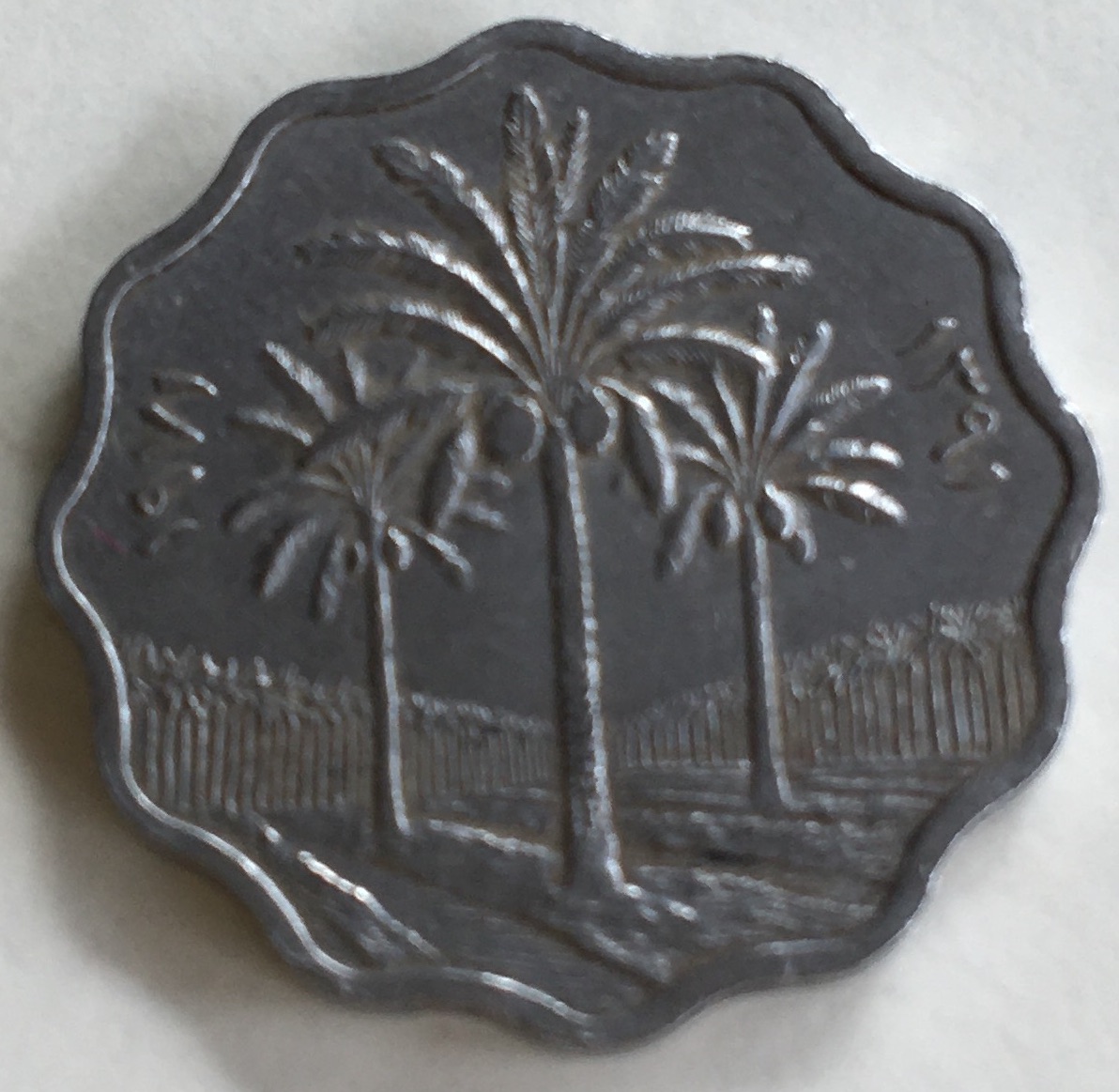 Someone-Would-Like-To-Buy-This-Iraqi-Coin.