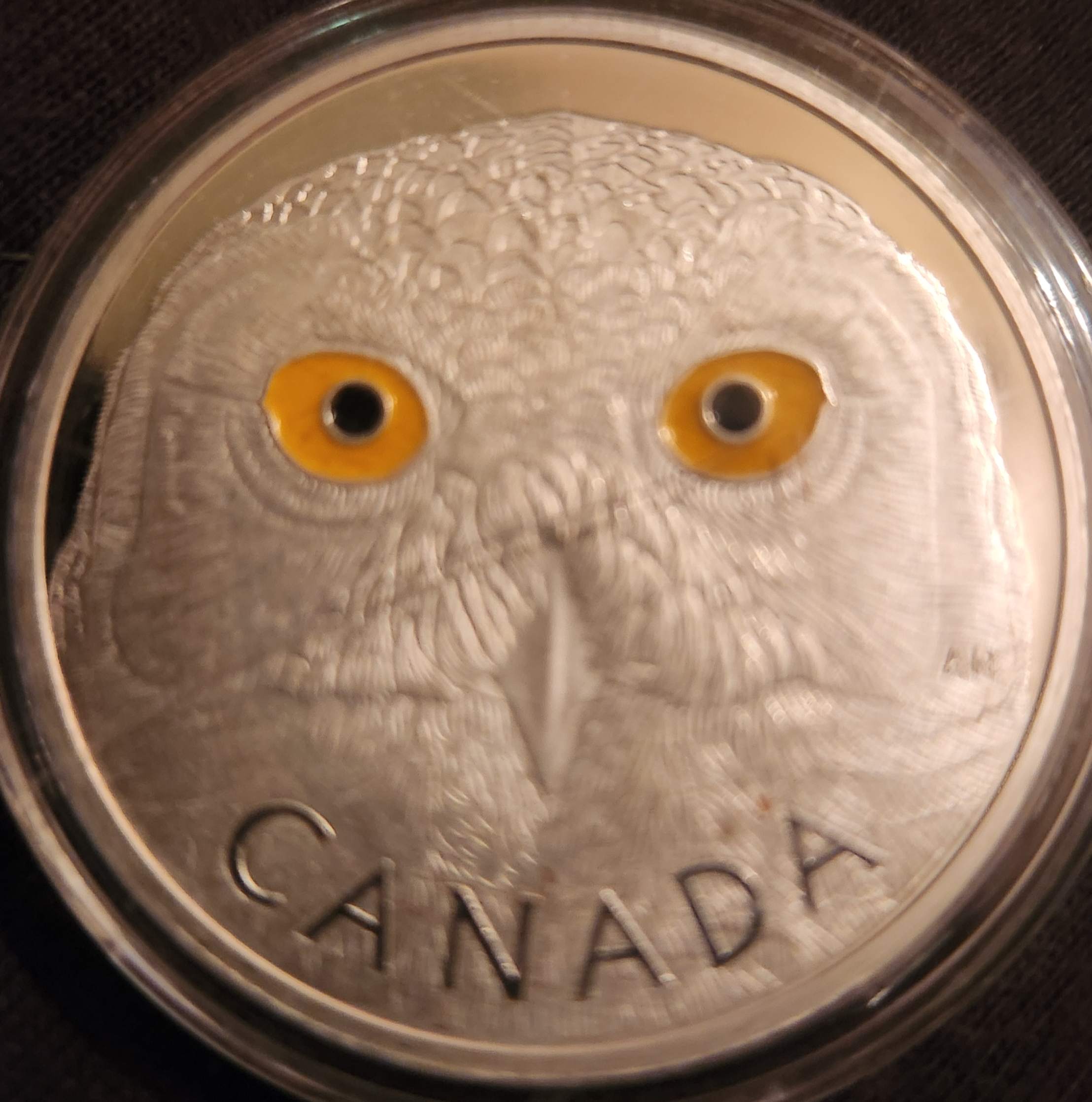 Fake-2014-Snowy-Owl-Coin