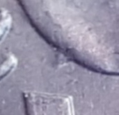 Australian-5-Cent-Die-Changes-And-Coin-Varieties