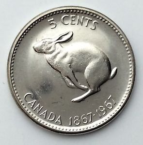 1919-Buffalo-Nickel,-What-Do-You-Think?