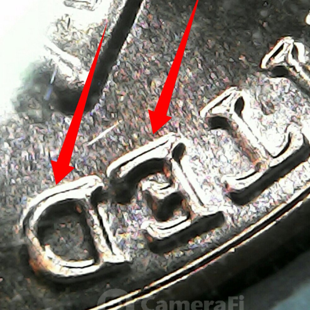 New-To-Finding-Varieties.--Is-This-One-Or-Two?