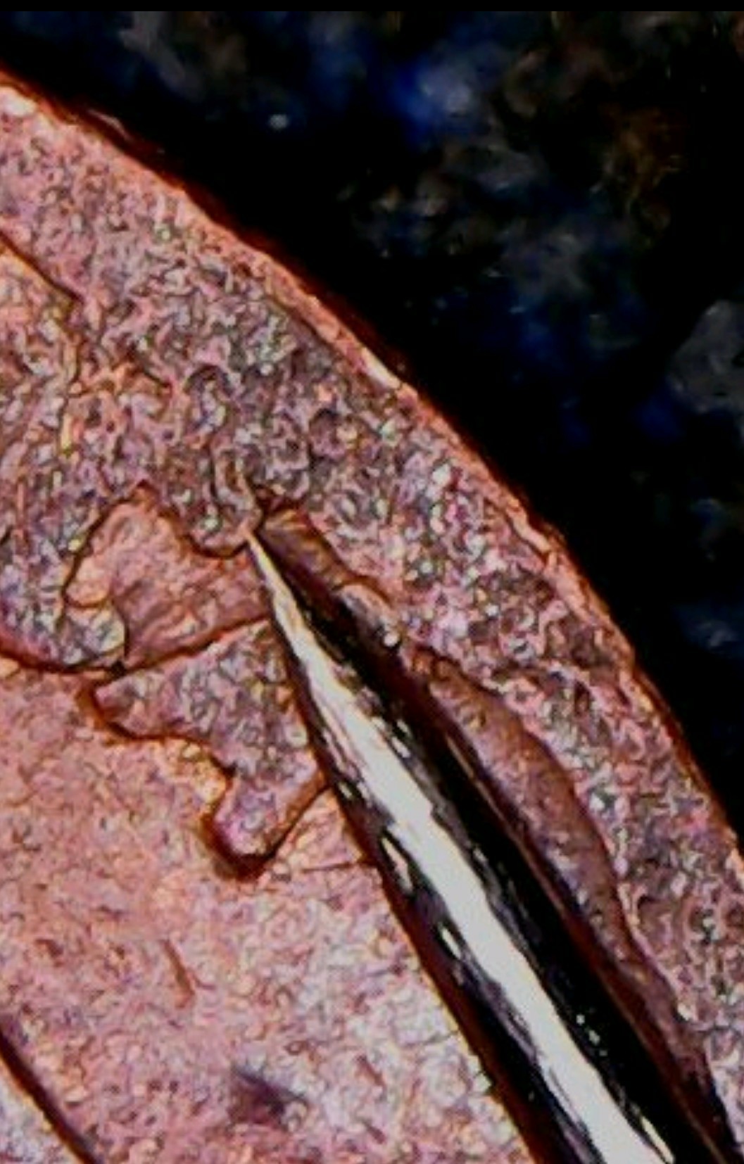 Maybe-These-Are-New-Lincoln-Cent-Varieties....