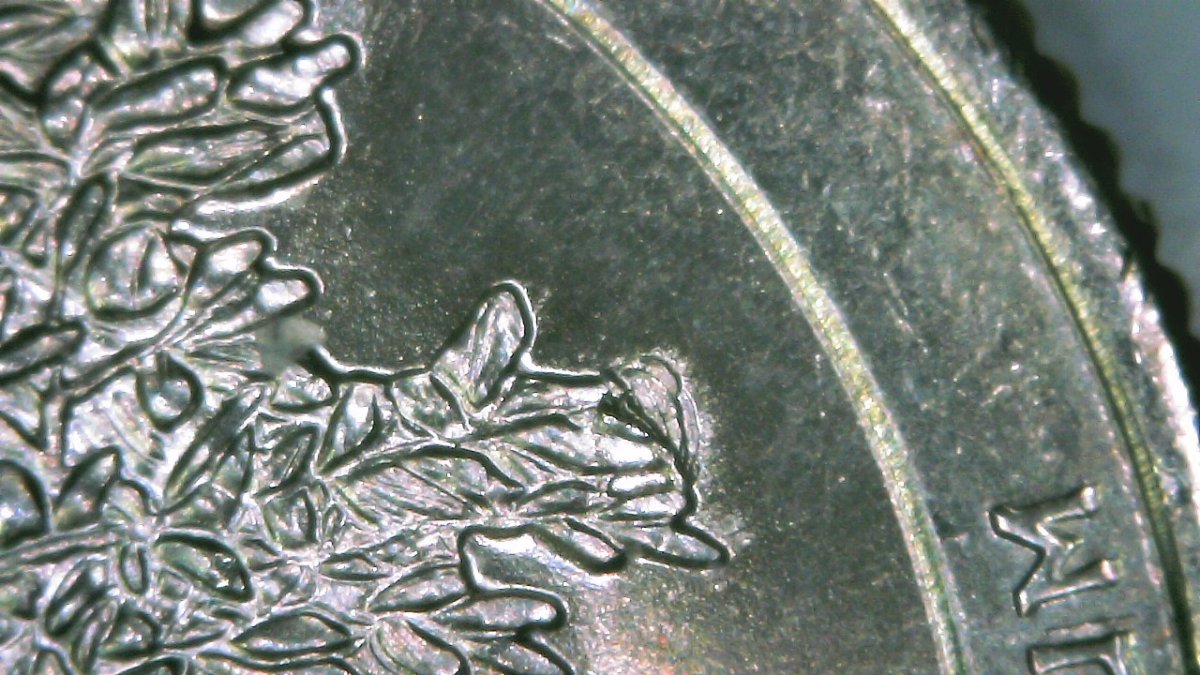 2020-P-Quarter-DDO-And-More?