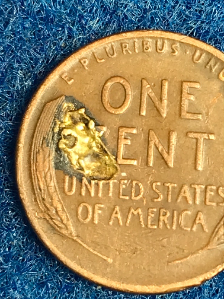 Any-Guesses-On-What-I'm-Looking-At-On-The-Back-Of-This-1936-D-Wheat-Back?