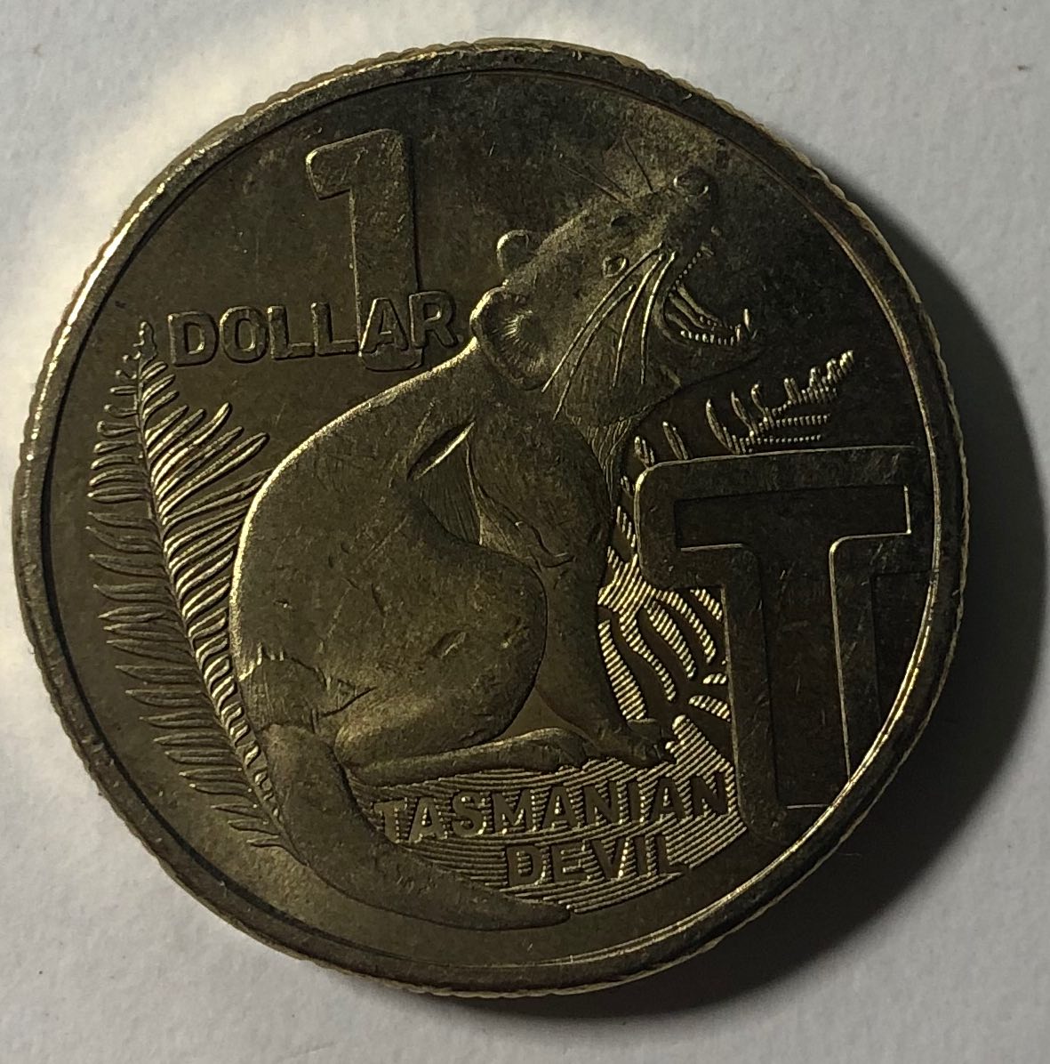 The-Hunt-Of-23---My-Attempt-To-Find-Every-Australian-Circulation-Coin-.