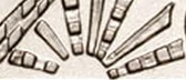 Name-That-Coin.--Daily-Coin-Snippet.