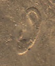 Name-That-Coin.--Daily-Coin-Snippet.