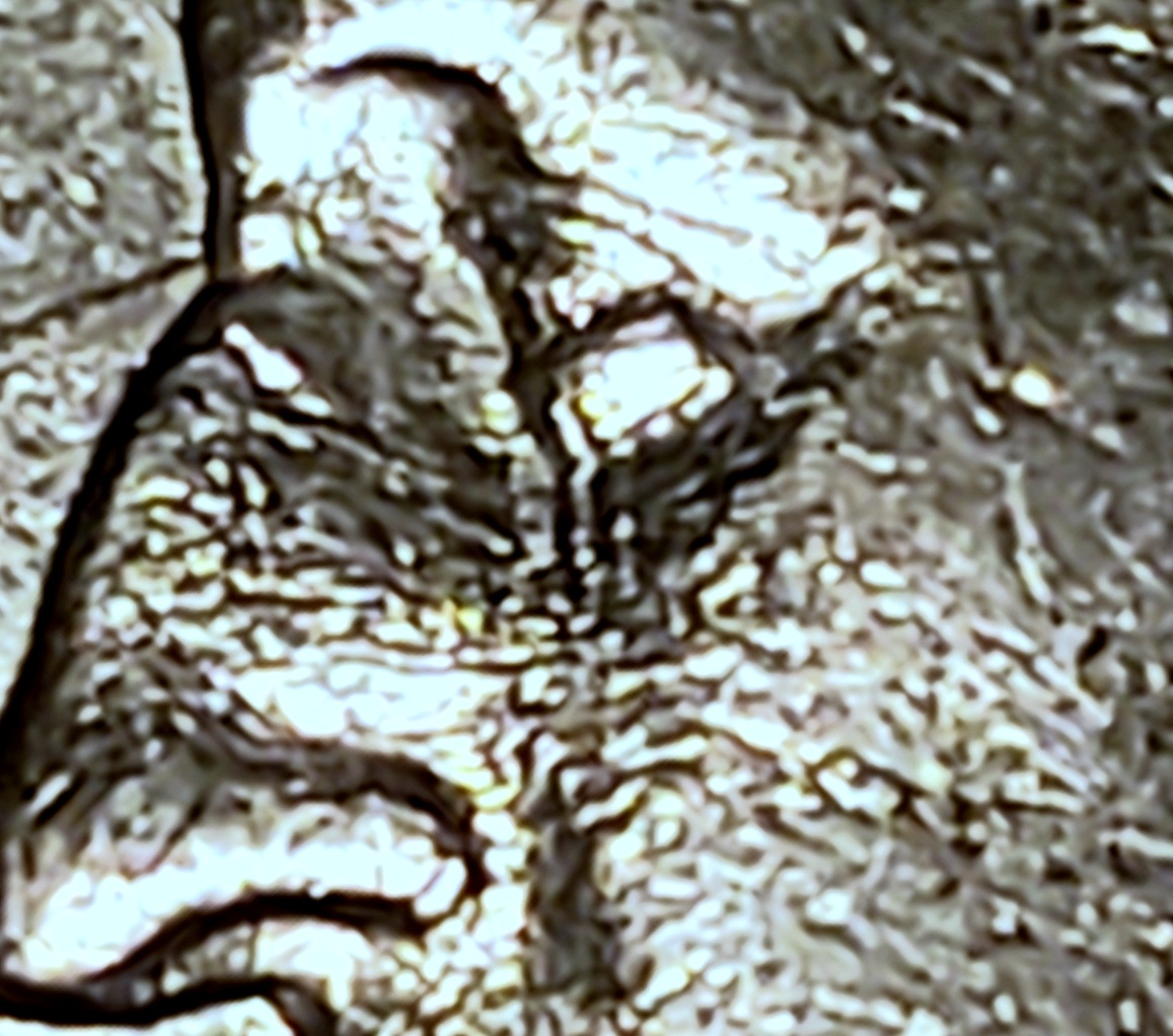 1992-P-25c-DDO-Found!-Possible-Tdo,--Opinions-&-Thoughts-Please.