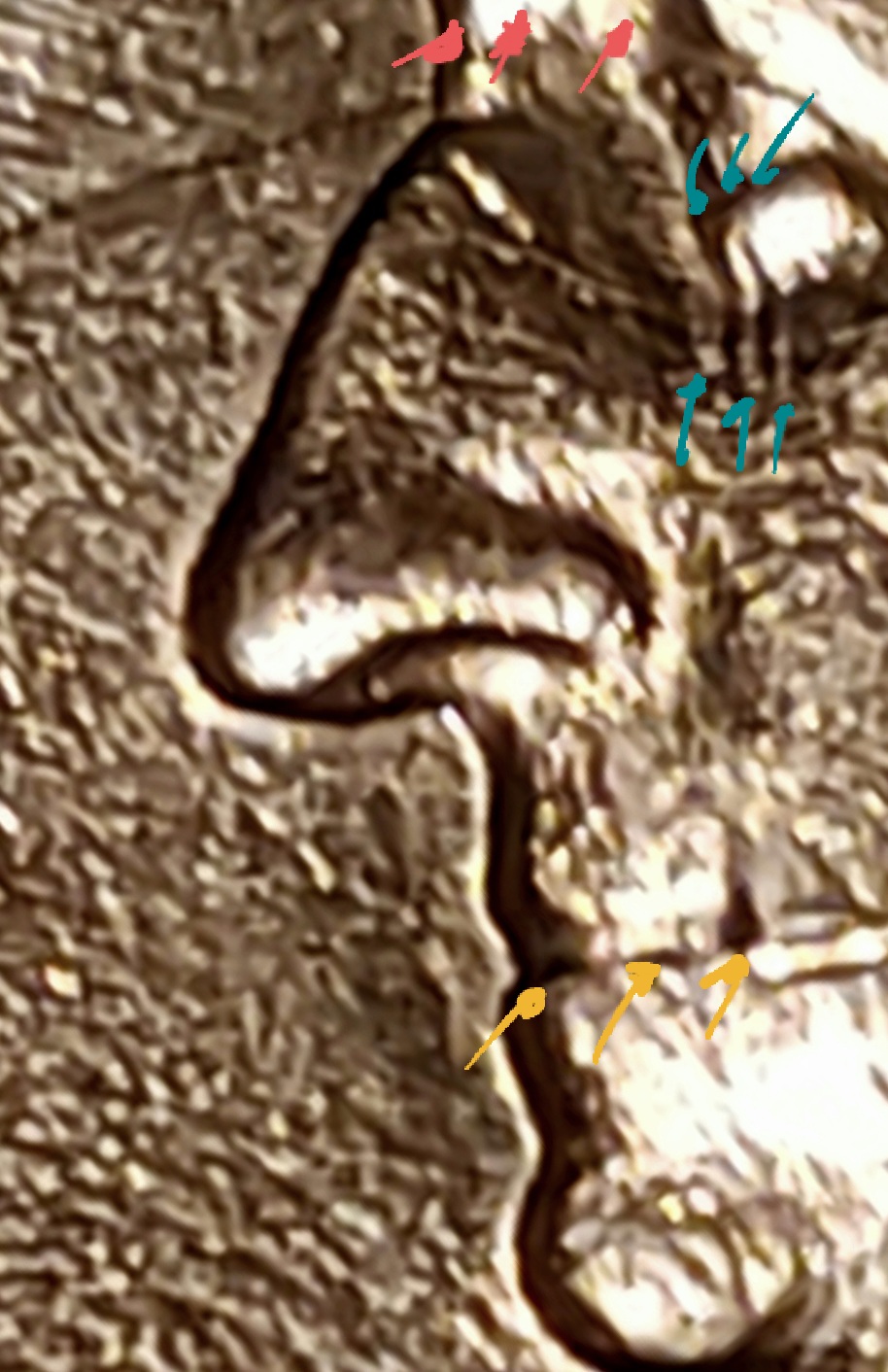 1992-P-25c-DDO-Found!-Possible-Tdo,--Opinions-&-Thoughts-Please.
