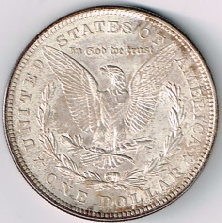 What-To-Do-And-Where-To-Start-With-47-1921-Morgan-Dollars