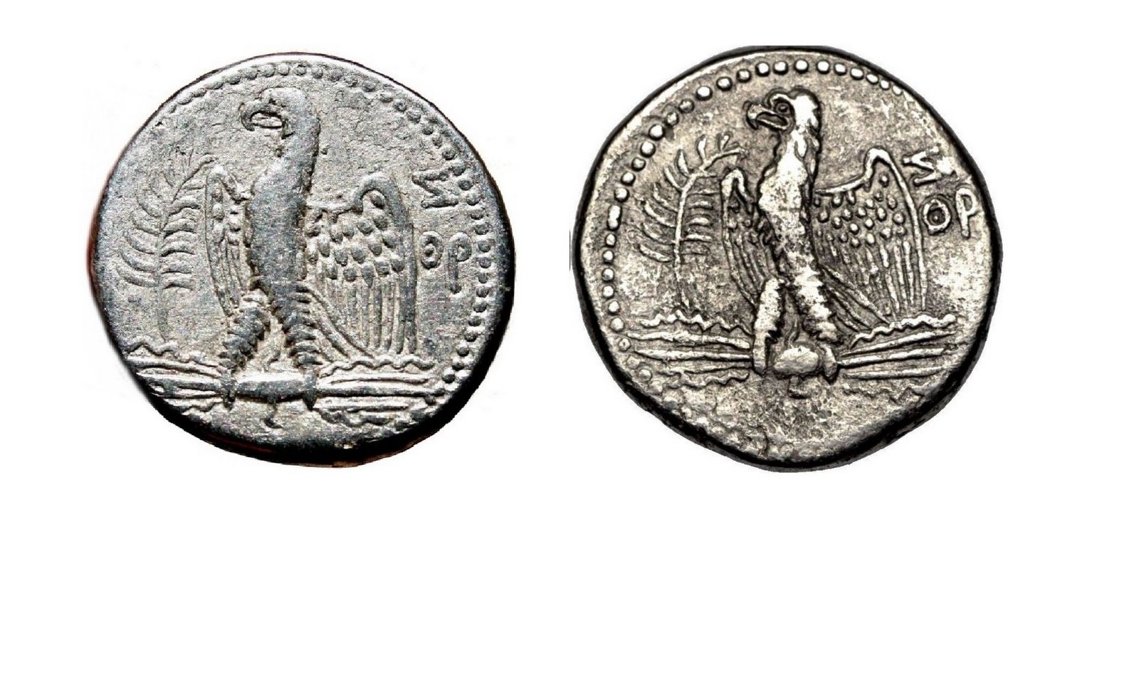 Nero-Coin-From-Ebay.-Is-It-Legit?