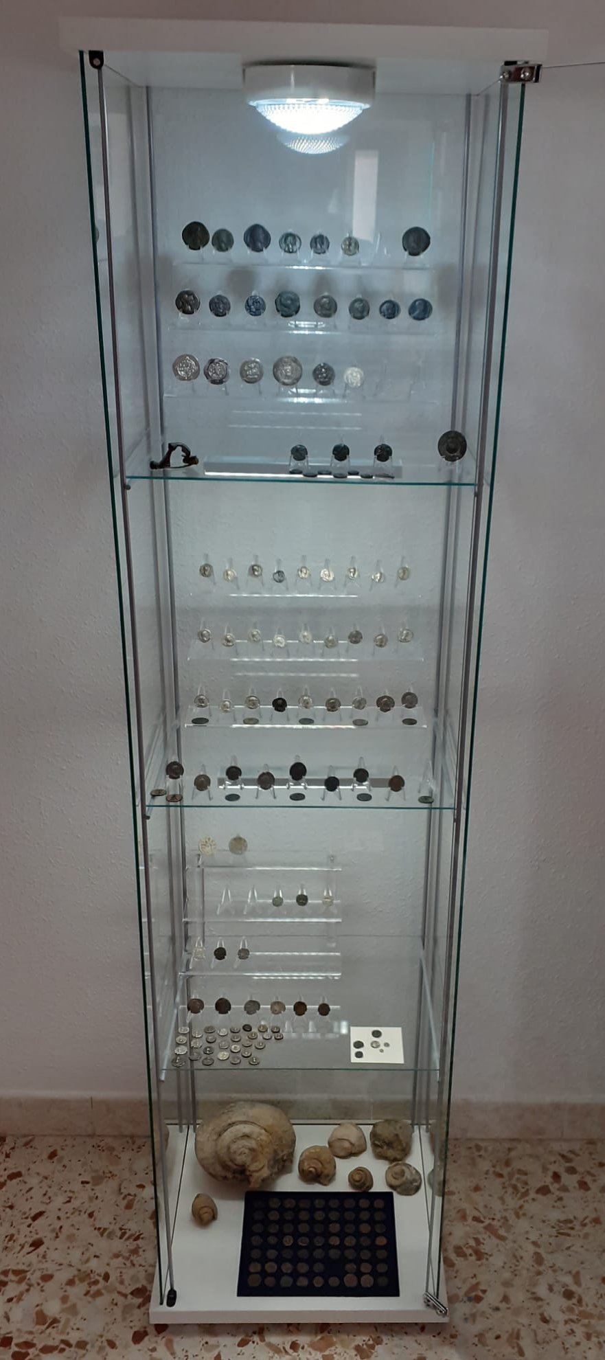 New-Glass-Display-Cabinet.