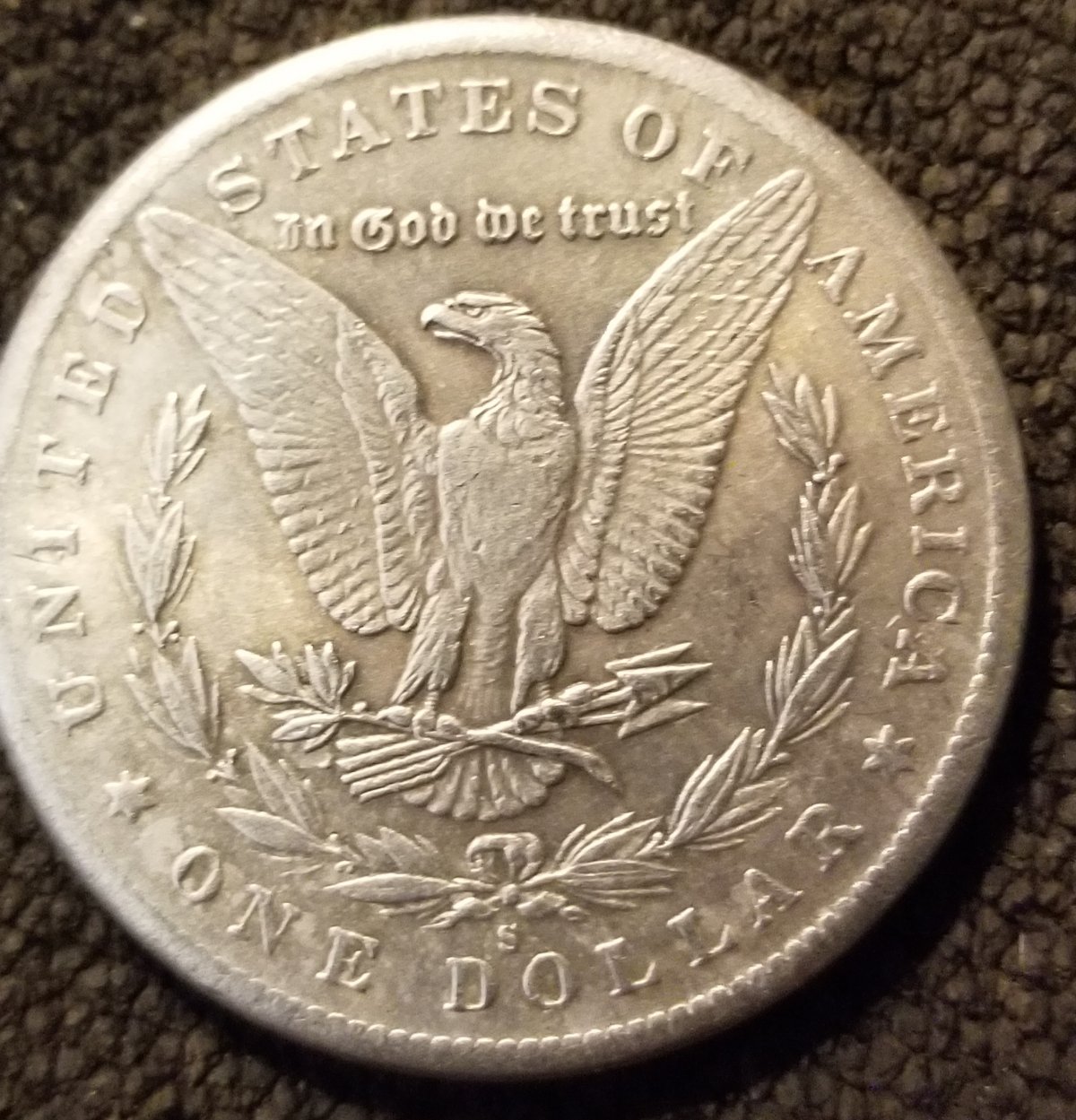 Pam's-Curious-About-Morgan