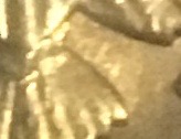 I-Founds-A-1982-P-Half-Dollar-No-FG-From-Rolls!