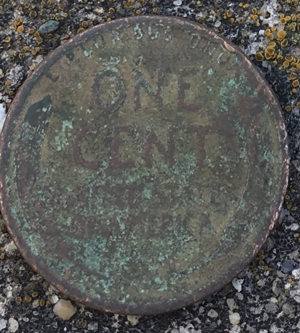 Do-You-A-Pick-Up-Old-Coins-From-Drive-Thru?