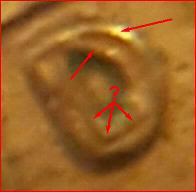 1995-D-Lincoln-Cent-Maybe-Error-Not-Sure...