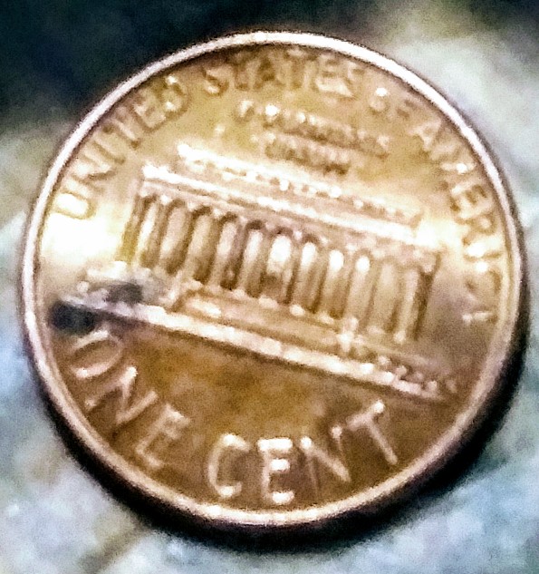 1992-D-Close-AM-Lincoln-Penny-Error