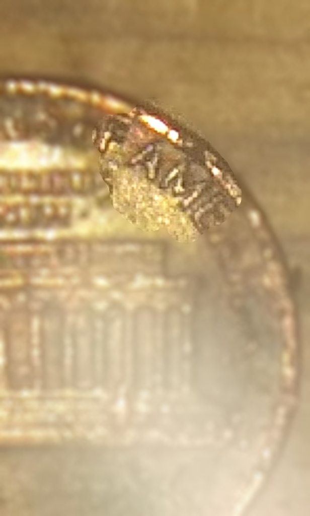 1997-