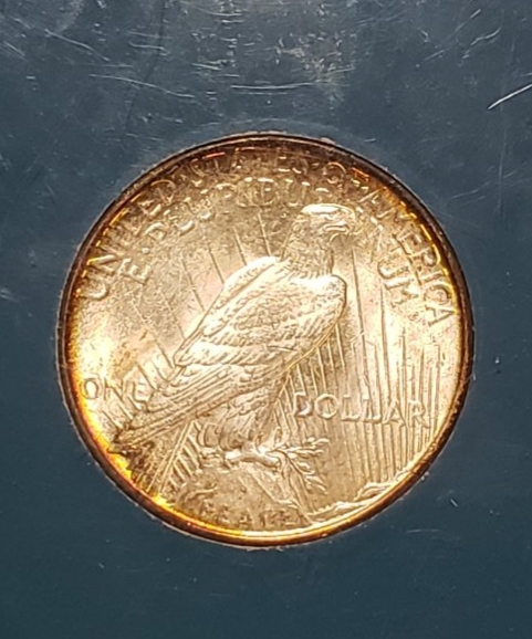 GSA-Peace-Dollar---Do-I-Have-What-I-Think-I-Have?