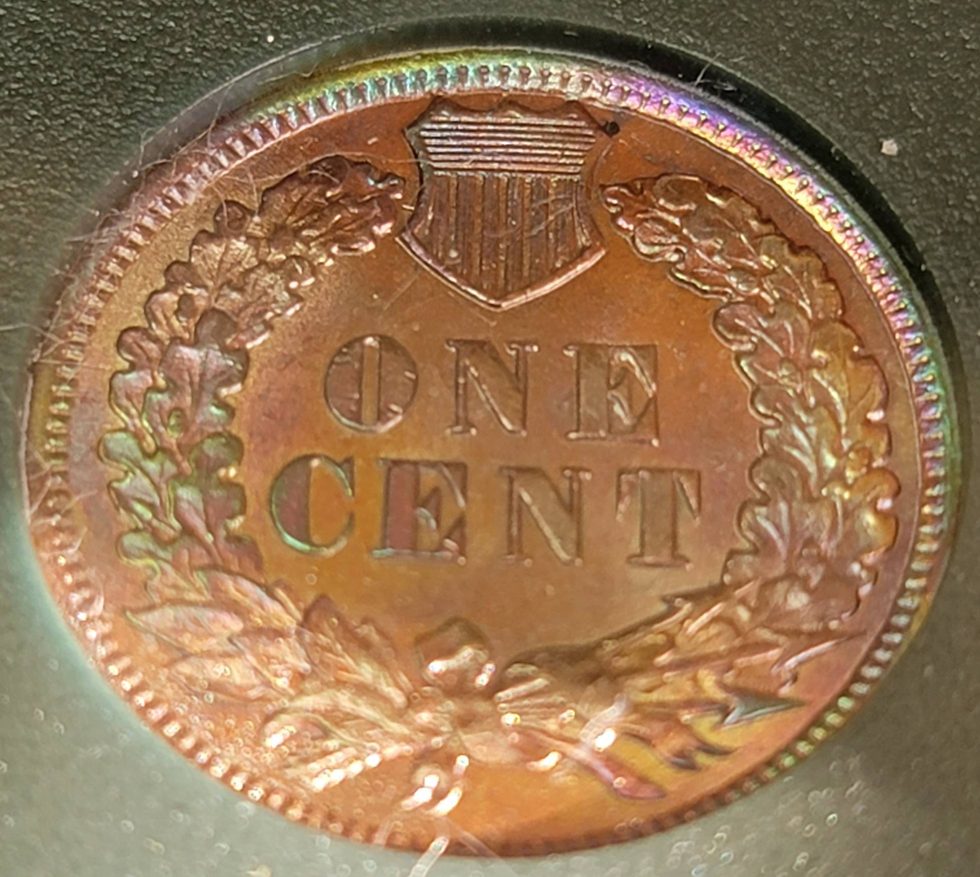 Looks-Artificial-To-Me-1901-Cent