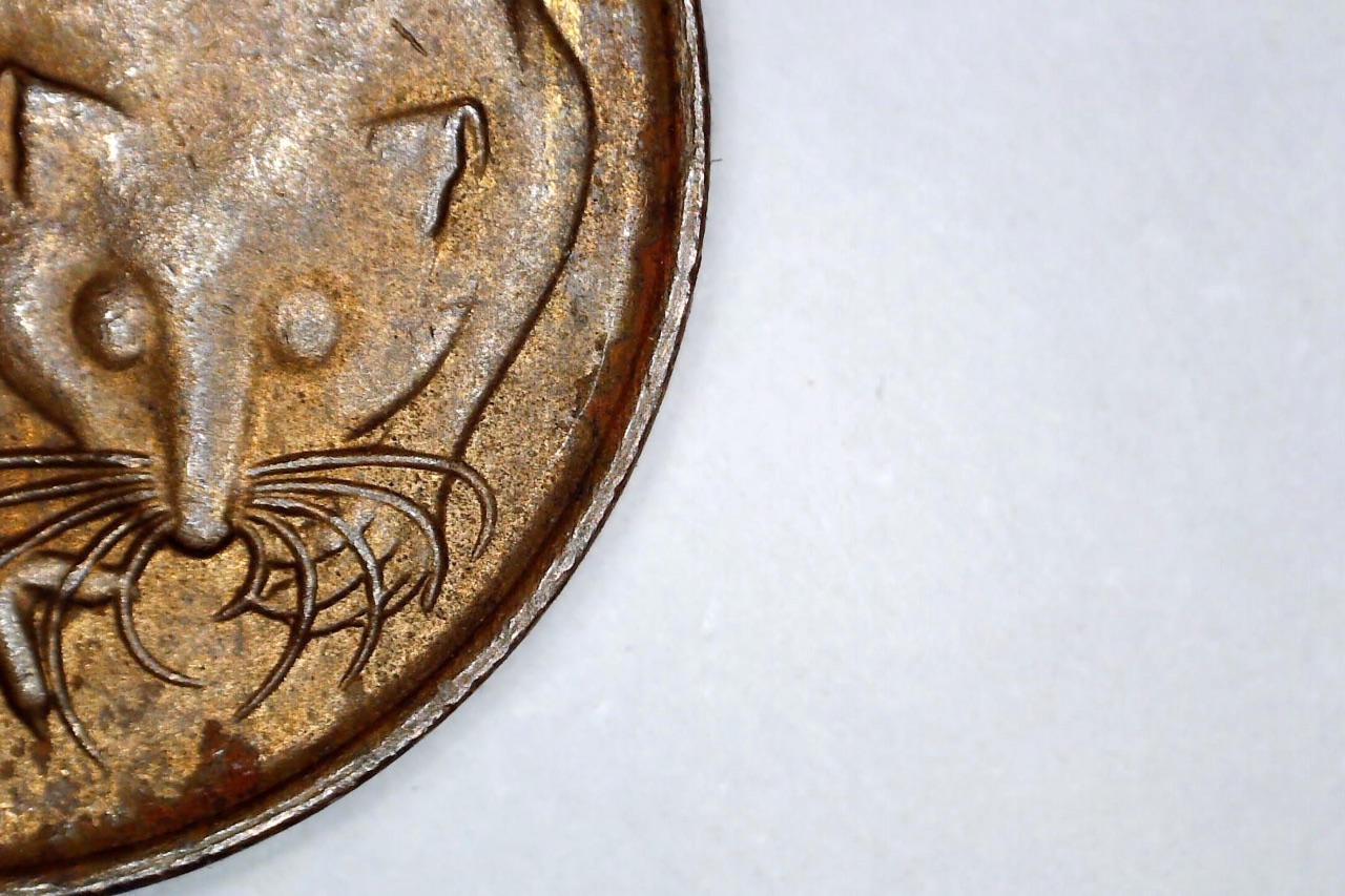 Profile-Pic-/-Avatar---Cheers