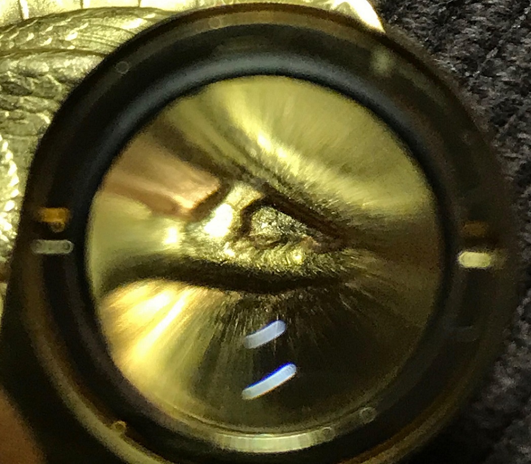 1907-20-Dollar-St.-Gaudens-Dollar-Fake-Or-Not?
