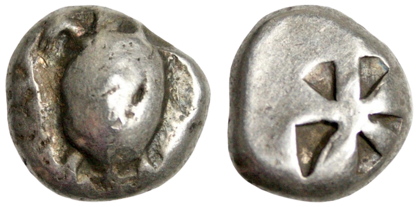 Aegina-AR-Stater-Sea-Turtle---Ref-Help-Needed