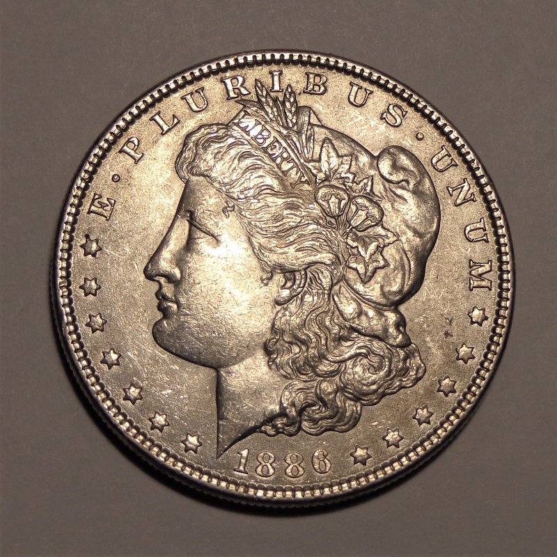 Please,-Need-Grading-For-This-Morgan-Dollar-1886