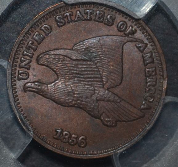 Some-Flying-Eagle-And-Indian-Head-Cents