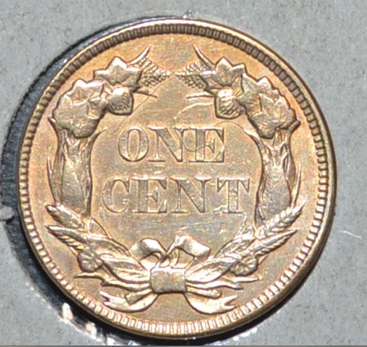 Some-Flying-Eagle-And-Indian-Head-Cents