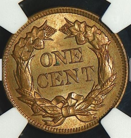Some-Flying-Eagle-And-Indian-Head-Cents