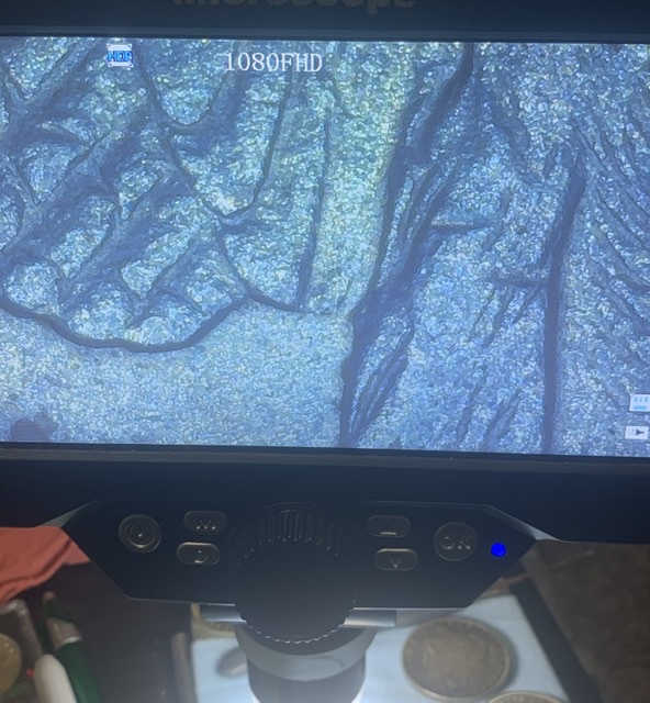 1878-7TF-Flared-Nostril?-Is-There-A-VAM?