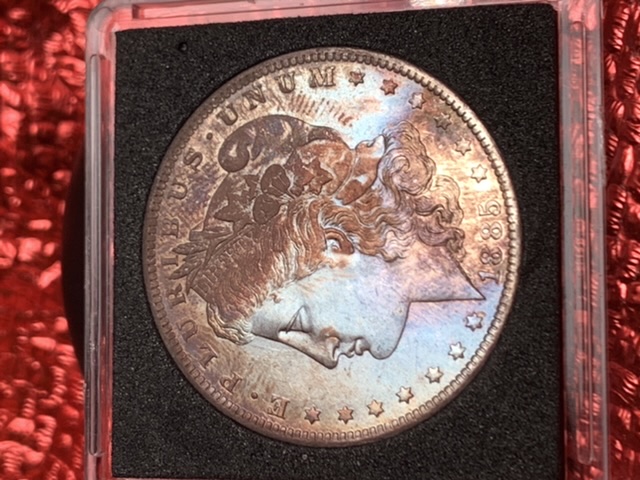 1885-0-Toned-Morgan-Value