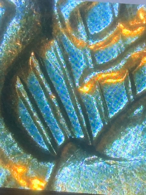 1971-Kennedy-Reverse-Extra-Ray?