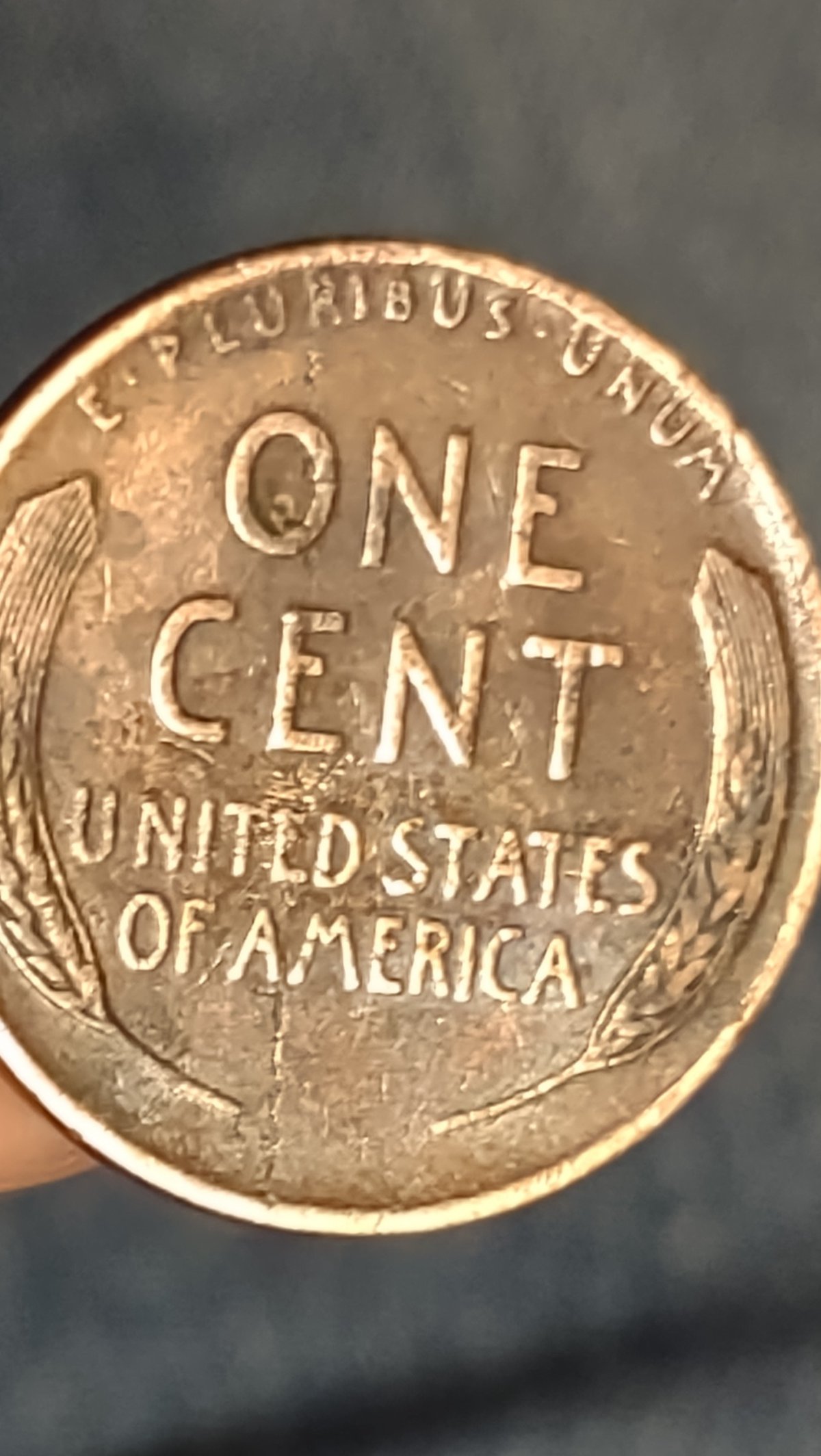 Need-Help-What-Year-Is-This-Wheat-Penny?